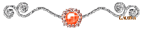 orange and silver divider