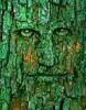 Greenman