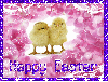 Happy Easter Chicks