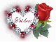 Trishna - Diamond Heart Rose