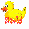 david duck