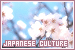 Japanese Culture - fan
