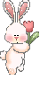Cute Bunny With Pink Tulip