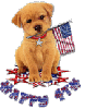 Happy 4th of July Puppy
