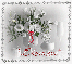 Lleana - White Floral Frame