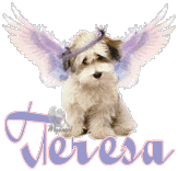Teresa