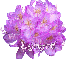 Lynyrd - Purple Floral Bunch
