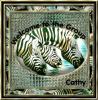 Zebra Cathy
