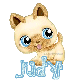 lil pet shop kitty judy