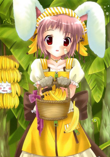 Banana Bunny
