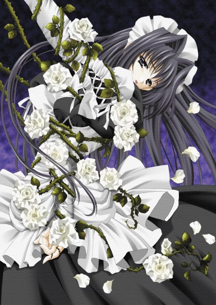 White Roses