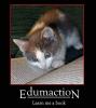 Education Cat.