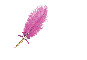 Leonisa - Feather Pen Dark Pink