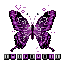 Butterfly - Stephanie