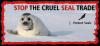 Save the Seals