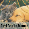 Any1 can be friends