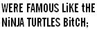 were famous like ninja turtles