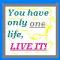 One life..LIVE IT!
