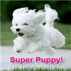 super puppy