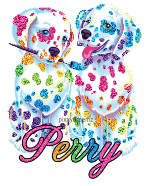 colorful puppies perry