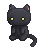cute black cat