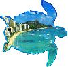 tortuga mar