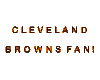 Cleveland Browns fan