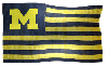 Michigan Flag