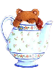 teddy in a pot