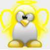 yellow fairy penguin