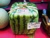 square watermelon :D