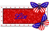 Liz 4th of July