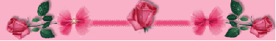 pink rose sparkly bows - div