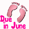 Baby Girl Footprints- Due in June