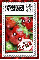Kawaii Strawberries Stamp (strawberry boarder)- Erica