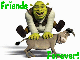 Shrek & Donkey playing leap frog- Friends Forever!