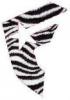 famous zebra