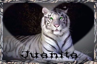 tiger with Juanita