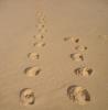 foot prints sand