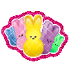 colorful rabbits
