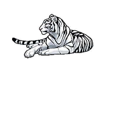 Maggie White Tiger