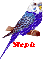 STEPH--BLUE BIRD