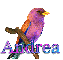 Bird-Andrea