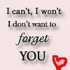 I can't, I won't, I don't want to forget you