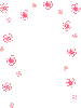 Flower Border