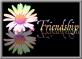 Friendship Flower