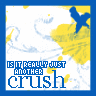 Is it Really Just Another Crush?