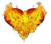 Phoenix heart