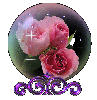 Pink rose globe