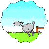 Sheep running across field